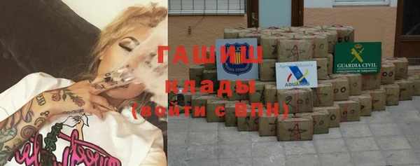 прущие грибы Ладушкин