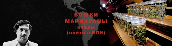 твердый Лагань