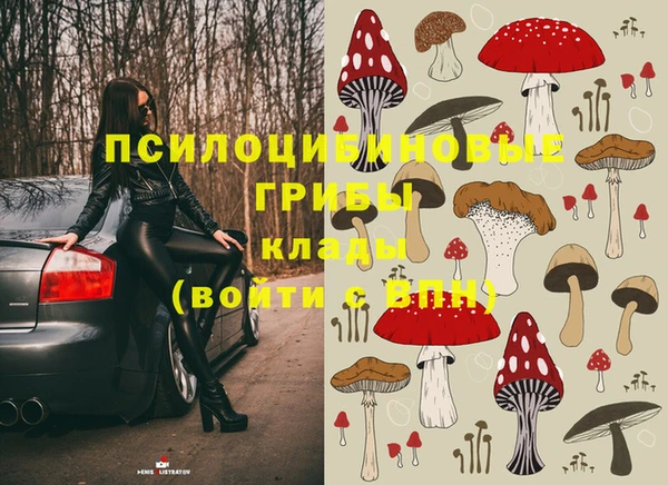 эйфоретик Кукмор