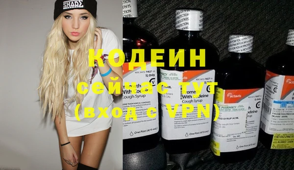 прущие грибы Ладушкин