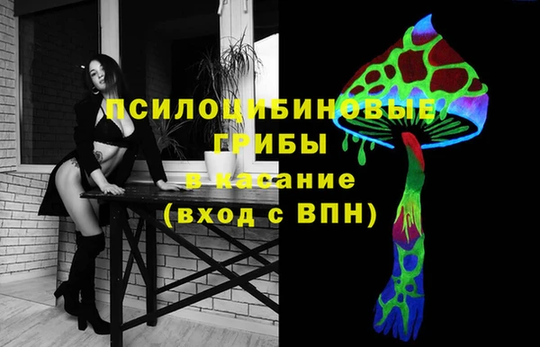 эйфоретик Кукмор
