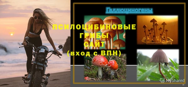 дурь Куйбышев
