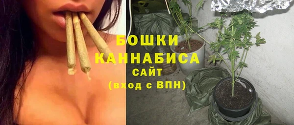 прущие грибы Ладушкин
